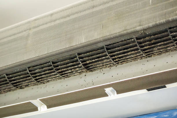 Best Affordable Duct Cleaning Services  in Lake Norman Of Catawba, NC